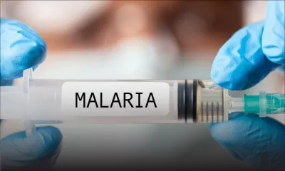 Des cas de paludisme contractés aux Etats-Unis pour la première fois en 20 ans