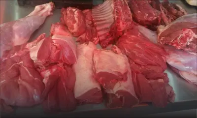 Competition Commission : 5 producteurs de cerfs écopent des amendes totalisant Rs 1,4 M