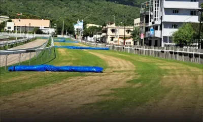 [Urgent] Hippisme : la cinquième journée prévue ce dimanche annulée