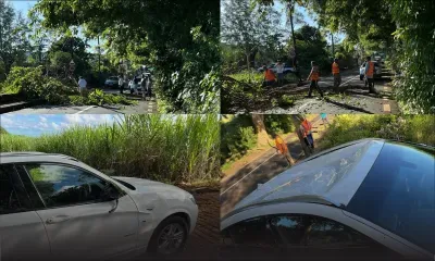 Villebague : une branche tombe sur une voiture