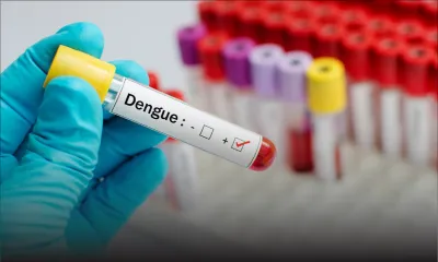 Dengue : 15 cas actifs à Maurice, 9 à Rodrigues