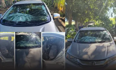 Ville-Bague : sa voiture endommagée par la chute d'une branche