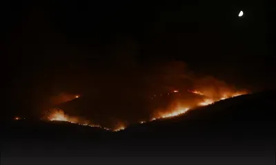 Les pompiers à pied d'oeuvre en Grèce avant la reprise du vent