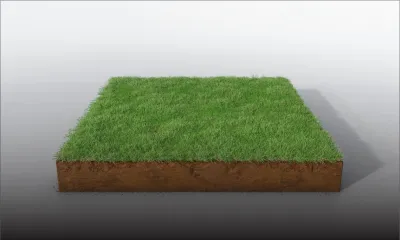 Gris-Gris : des carrés de gazon naturel volés