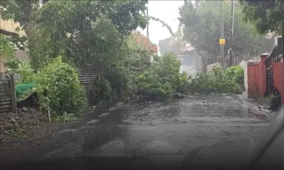 Belal : Quatre-Bornes enregistre les plus fortes rafales