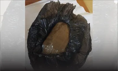 Riche-Terre : Rs 16 millions de drogue synthétique découvertes sur un terrain en friche