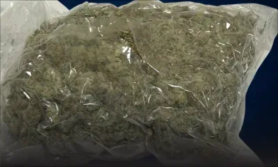 Saisie de 15 kilos de cannabis à Plaisance : un Britannique de 73 ans et sa compagne arrêtés, un taximan interpellé