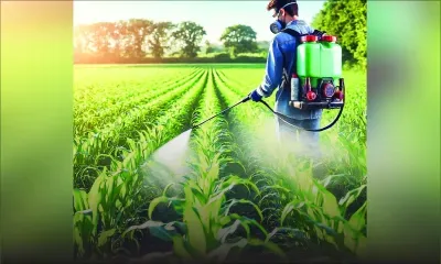 Utilisation des pesticides : un plan stratégique pour les six prochaines années