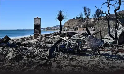 Incendies à Los Angeles : au moins 24 morts, des vents violents menacent