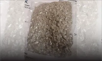 À l’aéroport de Plaisance : 55 kg de cannabis saisis, deux ressortissantes thaïlandaises arrêtées