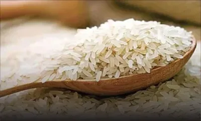 Riz subventionné : la STC se tourne à nouveau vers l’Inde 