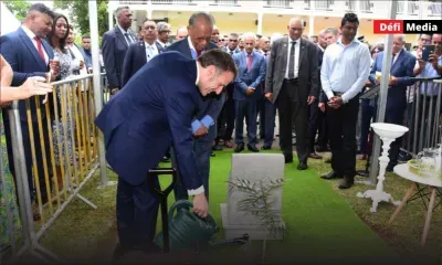 Visite présidentielle : Emmanuel Macron met en terre un « Bois de Poupart », au jardin botanique de Pamplemousses