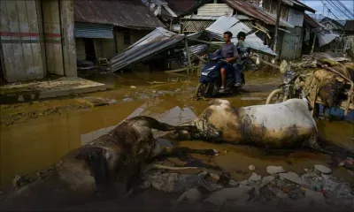 Inondations en Indonésie: le bilan dépasse les 900 morts