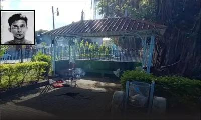 Jardin de Plaine-Verte : un acte de vengeance à l’origine du drame