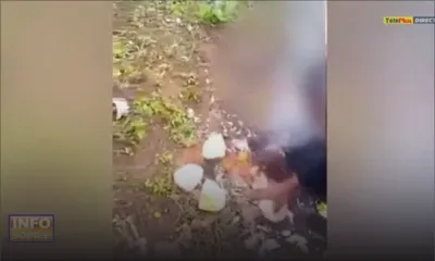 Au cimetière d’Alma : des « longanis » démasqués