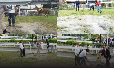Hippisme : Les 5e et 6e courses de ce samedi reprogrammées pour demain