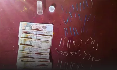 Rivière-du-Rempart : un homme arrêté avec 89 "papie tranpe"