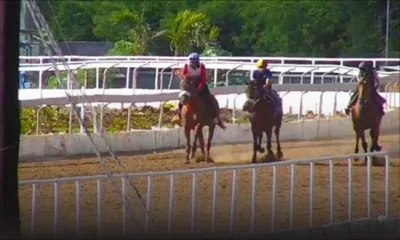 Hippisme : la tenue d'une ‘Mock Race’ à l’hippodrome de Petit-Gamin le 20 décembre envisagée