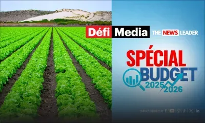 Agriculture : une enveloppe de Rs 800 M pour les planteurs