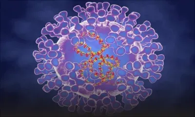 Variole du singe: 780 cas dans les pays non endémiques, selon l'OMS