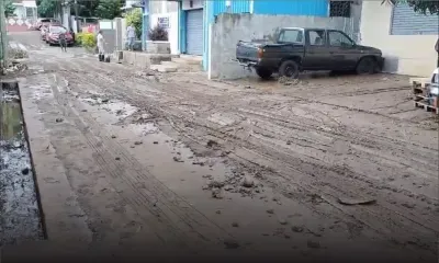 Dorine Chukowry, ministre du Commerce : «Bisin arrive avec bannes solution»