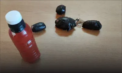 Flic-en-Flac : saisie de Rs 5,9 millions de drogue de synthèse ; une femme de 29 ans arrêtée