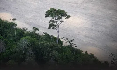 "La crise climatique est une crise sanitaire", selon l'OMS