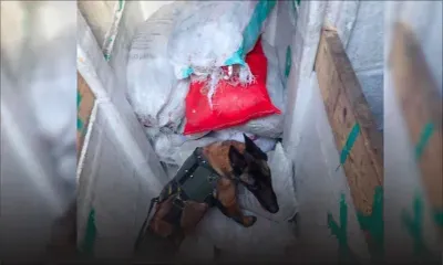 Saisie record d’une tonne d’héroïne dans les eaux réunionnaises