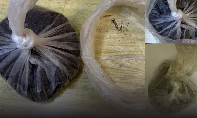 Un jeune de 19 ans arrêté avec Rs 1,3 million de drogue synthétique