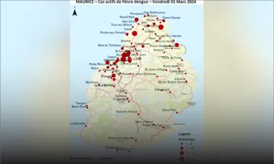 Dengue : explosion des nouveaux cas actifs