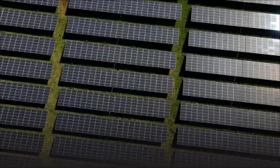 Corexsolar International : une nouvelle centrale photovoltaïque à Plaine-des-Roches