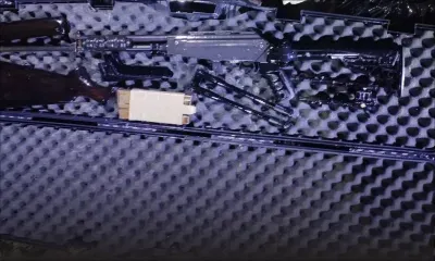 Vol à main armée chez un couple à Petit-Raffray : la carabine volée et 80 balles retrouvées dans la forêt de Daruty