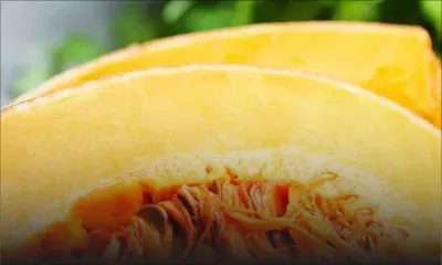 Saint-Pierre : 400 kilos de giraumon volés