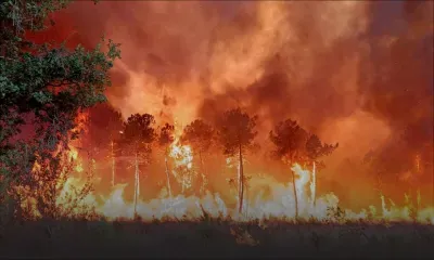 Des incendies de forêt ravagent le sud de l’Europe alors que les températures dépassent les 40 °C
