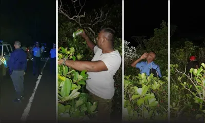 Plaine-Champagne : une dame de 56 ans portée disparue