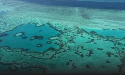 Australie: la Grande Barrière de corail victime d'un "vaste blanchissement"