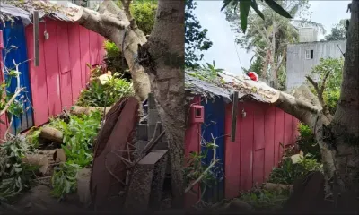 Alerte cyclonique 3 : Les unités mobilisées sur le terrain  Les différentes unités de la police, des pompiers et d’autres services d’urgence sont déployés à travers l’île pour gérer diverses situations.  À Cité EDC Pamplemousses, les officiers de la SMF (