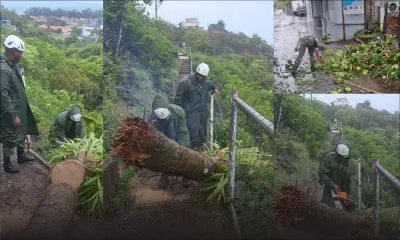 Rodrigues en alerte cyclonique de classe 4 : des soldats de la SMF à pied d’œuvre