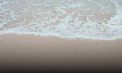 Assomption : la petite île qui est devenue un enjeu majeur des élections seychelloises