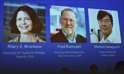 Prix Nobel de médecine : trois chercheurs récompensés pour leurs découvertes sur le système immunitaire