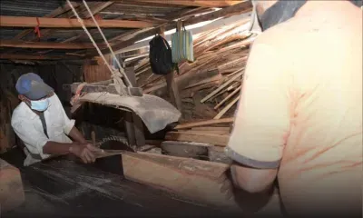 Ouvrier de scierie: un métier qui se meurt