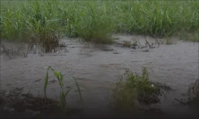 Météo : Maurice sous le coup d’un nouvel avertissement de fortes pluies 