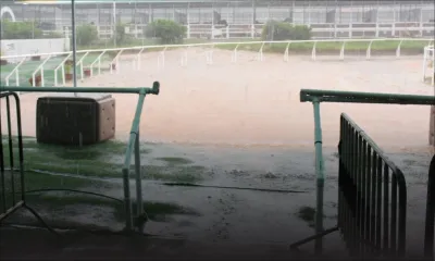 Intempéries : la journée hippique une nouvelle fois annulée