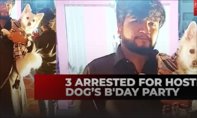 Covid-19 : descente de police lors de l'anniversaire d'un chiot en Inde