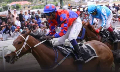 Hippisme : présence d'un produit prohibé chez le cheval Canford Lights