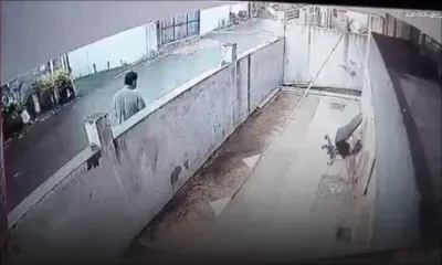 Alma : la police enquête sur une tentative d’agression sexuelle sur une femme de 65 ans en pleine rue