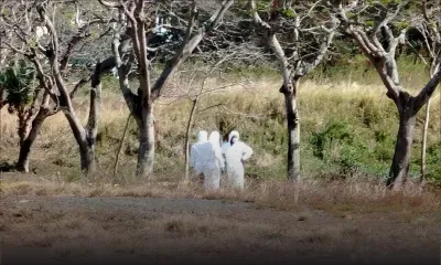 Beau-Plan : une dispute de couple se termine en bain de sang