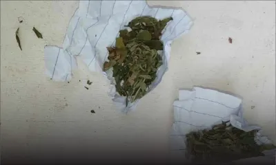 Grand-Gaube : un enseignant arrêté tentant de faire passer du cannabis à une personne en quarantaine