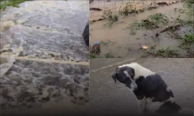[Nord] Pluies torrentielles : un torrent d’eau dévale au village de Poudre d’Or