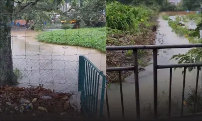 [Nord] Pluies torrentielles : un torrent d’eau dévale au village de Poudre d’Or